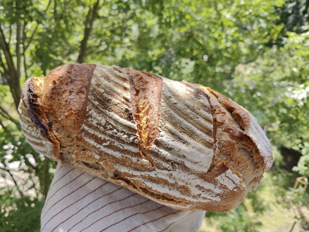 the-best-sourdough-bread-in-krakow-poland-bread-and-spread