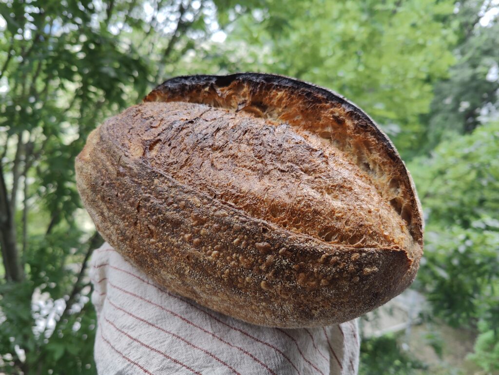 the-best-sourdough-bread-in-krakow-poland-breaking-bread