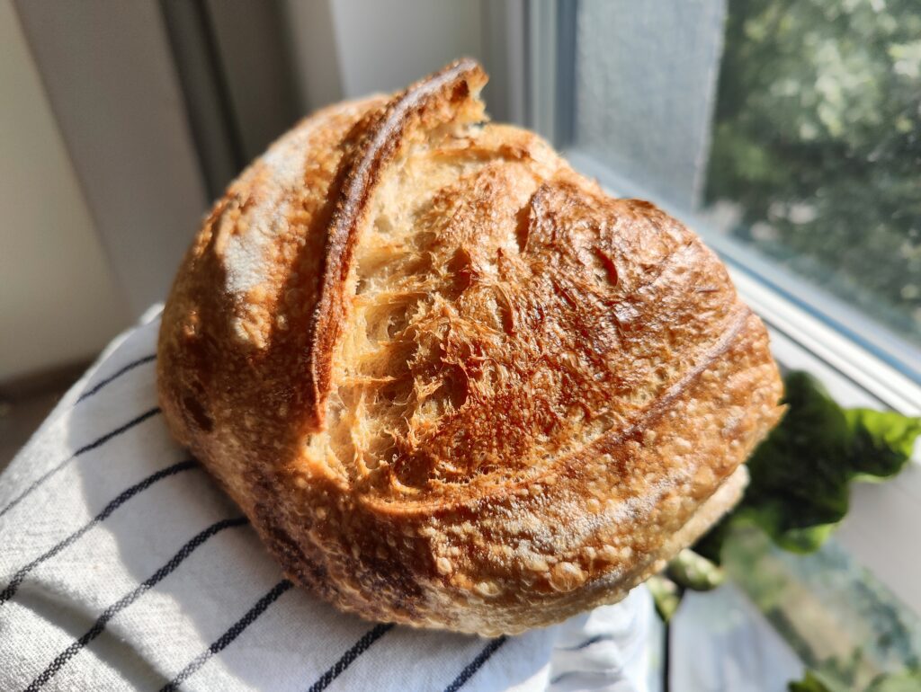 the-best-sourdough-bread-in-krakow-poland-buka