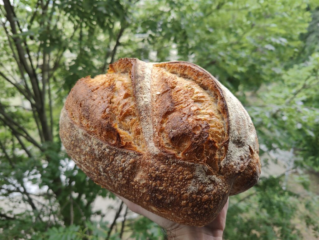 the-best-sourdough-bread-in-krakow-poland-chelb-and-more