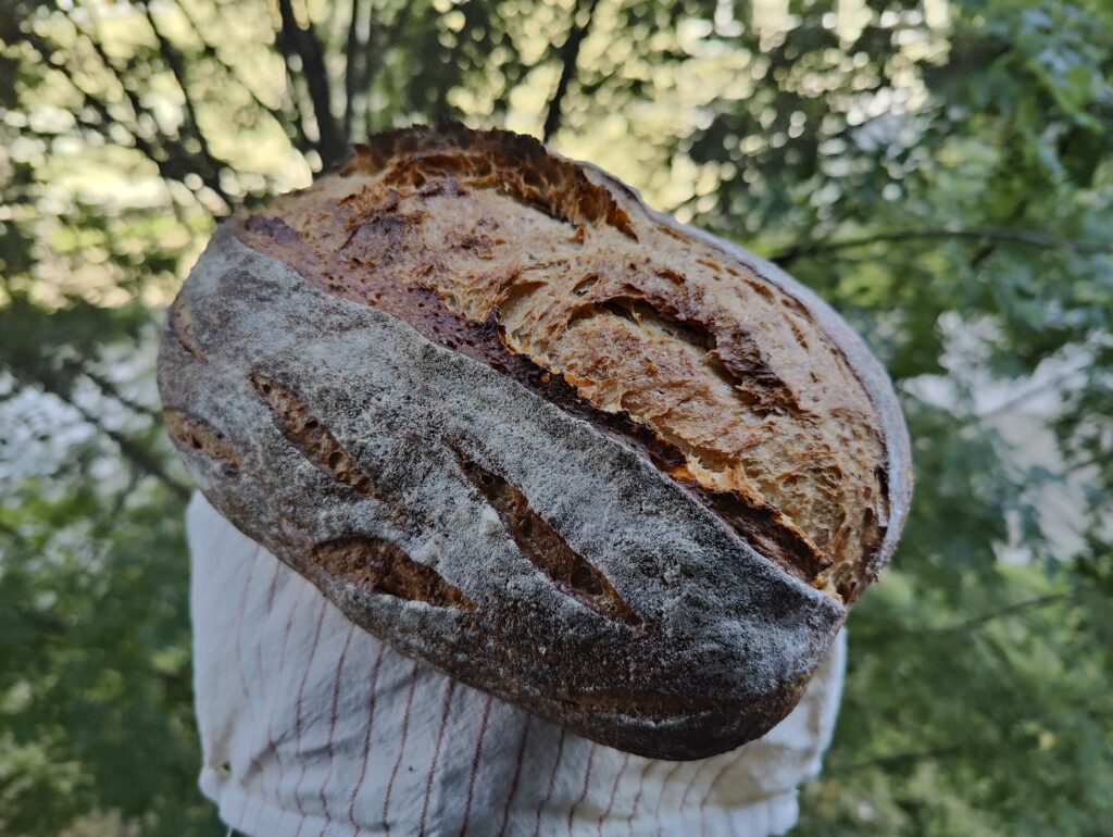 the-best-sourdough-bread-in-krakow-poland-meggido