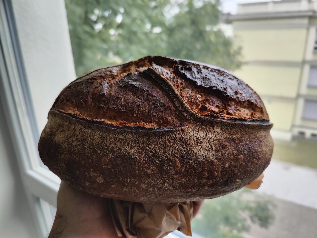 the-best-sourdough-bread-in-krakow-poland-zaczyn