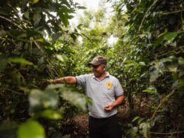 why-coffee-is-the-best-career-for-travel-lovers-farmer-honduras